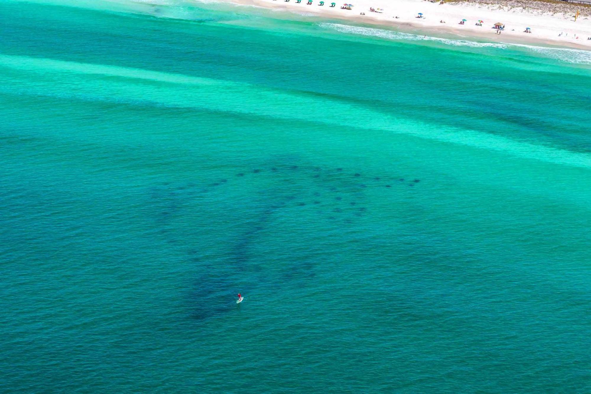 Ariel Dunes I 1502 Destin Exteriér fotografie